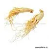 Sell Panax thumbnail-1