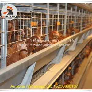 South Africa Poultry Farm Equipment - Battery Chicken Cage & Layer Cage & Chicken Coop & Laying Hen Coop & Laying Hen Cage in Chicken Farm thumbnail-2
