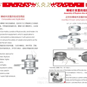 Rupture Disc Device,bursting Disc, thumbnail-4