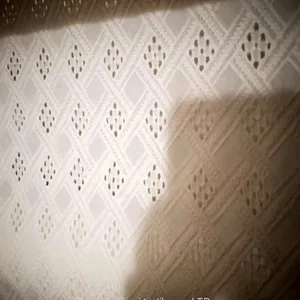 Broderie Anglaise Cotton Eyelet Schiffli Lace Embroidery Fabrics thumbnail-3