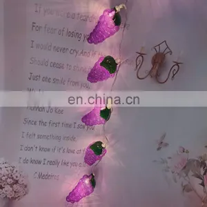 Hot Sale Unique Harvest Decoration Plastic Grape Shape String Light thumbnail-3
