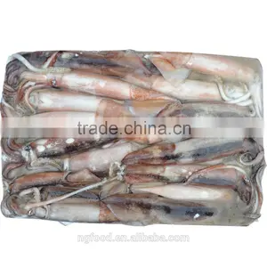 Frozen Squid Whole thumbnail-2
