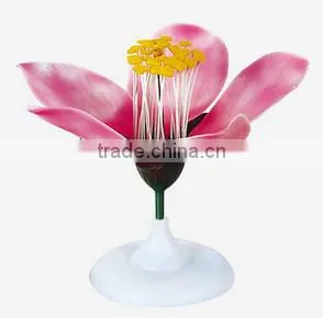 Peach Blossom Model, Peach Flower Model thumbnail-1