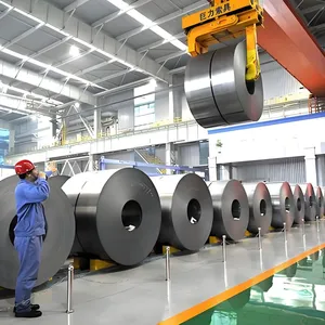 Color Coated Aluminum Zinc Steel Coil Hail and Pressure Resistant Agricultural Greenhouse Custom Thickness thumbnail-2