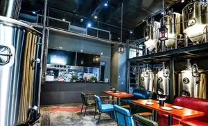 220V Automatic Stainless Steel Brewing Equipment for Craft Beer thumbnail-3