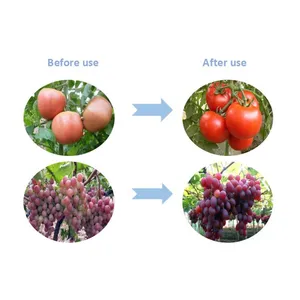 Factory Price Auxin S-abscisic Acid S-ABA 90%TC Plant Growth Regulator thumbnail-3