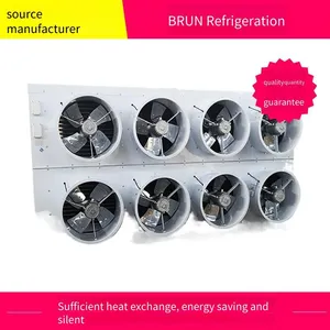 Cold Drink Cold Storage, Borun Refrigeration, Freezing and Refrigeration Storage, 3 Hp, 2yg - 3.2, Elegant - Styled Cold Storage Equipment With Elegant Style thumbnail-5