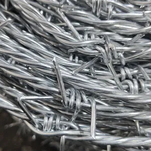 Hot-selling Fence Wire Mesh, Electro-galvanized Wire Mesh thumbnail-4