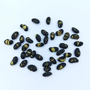 Premium Non-fried Large Black Soy Bean Snacks Roasted Saline Flavor for Global Supermarkets and Retailers thumbnail-4