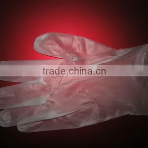 Vinyl Examination Gloves thumbnail-1