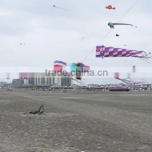 High Quality Customed Windsock thumbnail-1