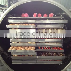 Vacuum Freeze Dryer for Food thumbnail-1