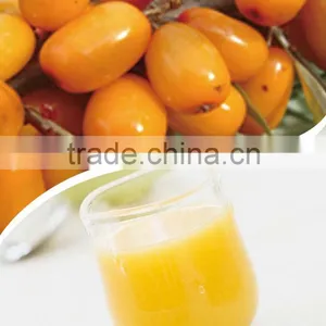 100% Natural Seabuckthorn Juice thumbnail-1