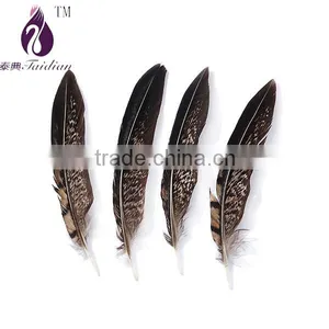 Wing Feather,natural Color Pheasant Feathers thumbnail-1