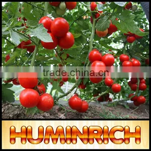 Huminrich Shenyang Factory Hot Sale High Purity Super Sodium Humate thumbnail-1