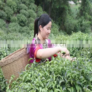 Health-Enhancing Function Wild Rocky Tea Green Tea thumbnail-2