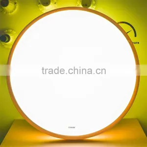Hot Selling Ceiling Light With Remote Controller With Low Price thumbnail-4