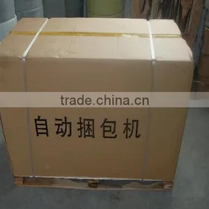Simple Strapping Machine thumbnail-6