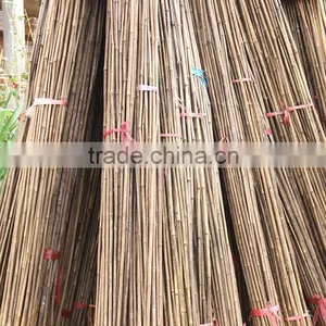 Good Quality Raw Bamboo Poles and Hot Sale Best Quality Hydroponic Bamboo Poles thumbnail-4