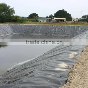 China Top Fish Farm Pond Liner HDPE Geomembrane thumbnail-4