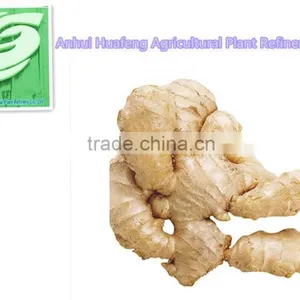 Dried Ginger Whole thumbnail-3