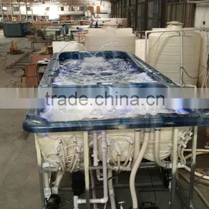 Hot Selling Acrylic Hotel Rectangular Outdoor Swim Pool Sex Massage Swimming Spa thumbnail-3