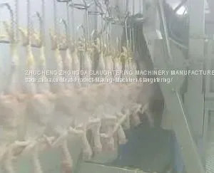 Duck Abattoir Machine thumbnail-1