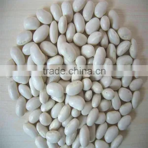 White Kidney Bean thumbnail-1