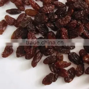 Sultana Raisin thumbnail-1