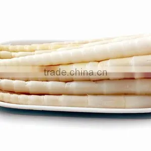 2013 Market Prices for Bamboo Shoot thumbnail-1