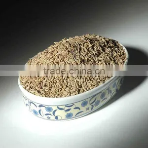 Cumin Seeds thumbnail-1