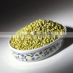 Coriander thumbnail-1