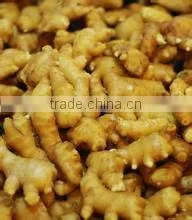 New Harvest,Top Quality Natural Ginger thumbnail-1