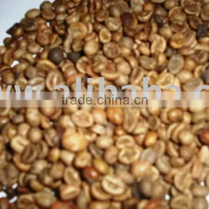 Robusta Green Coffee Beans thumbnail-1