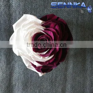 Heartshaped Long Life Rose Preserved Flowers for Arrangement thumbnail-5