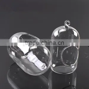 Hanging Micro Landscape Ecological Meaty Plant Glass Vase thumbnail-1