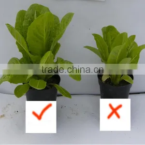 Manufacture Calcium Ammonium Nitrate thumbnail-6
