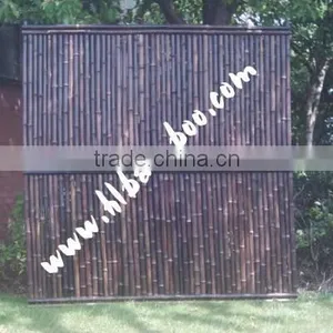 Black Bamboo Fencing Hot Sale(HL-BLBF) thumbnail-1