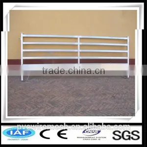 Galvanized Iron Pipe Fencing for Horses thumbnail-3