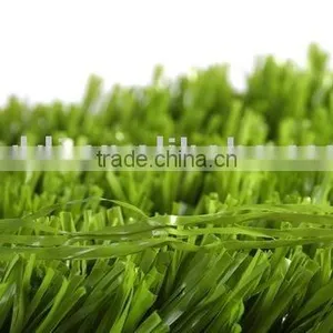 Fibrillated Grass thumbnail-1