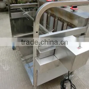 Gas Rotisserie,BBQ PIG Rotisserie,Rotisserie for Whole Pig(ZQ-02A) thumbnail-4