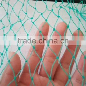 Green Polyethylene Anti-bird Net /plastic Net in Caton Packing thumbnail-1