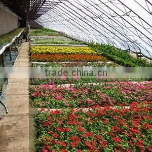 High Quality Manufacture Greenhouse Plastic Film for Fruits Vegetables Flowers thumbnail-1