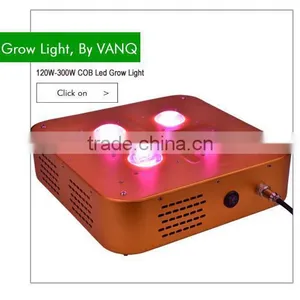 Vanq 300W COB LED Grow Light in UV Red Blue Full Spectrum thumbnail-1