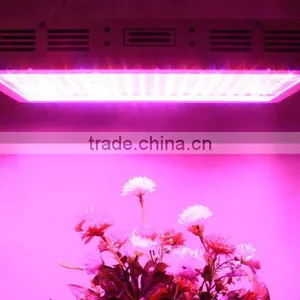 High Quality Greenhouse Cheap 600w Led Grow Lights for Sale thumbnail-3