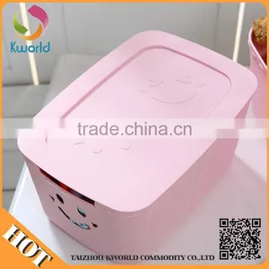 Attractive Price New Type Plastic Folding Storage Box thumbnail-6