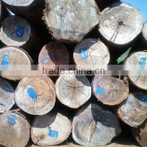 KEURING LOGS thumbnail-1