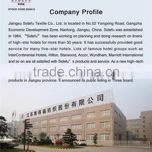 Jiangsu Sidefu Textile Co., Ltd. company overview - view 2 thumbnail