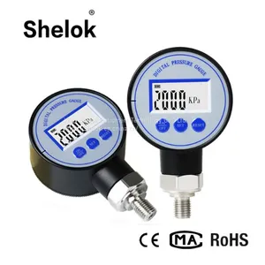 Mini Air Pressure Gauges/Bar Mpa Digital Differential Pressure Gauges thumbnail-1
