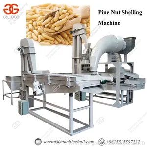 Commercial Use Cedar Nut Processing Shelling Pine Nut Peeling Machine thumbnail-1